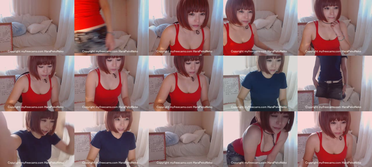 HaraPekoNeko-MFC-201609150640_m.jpg