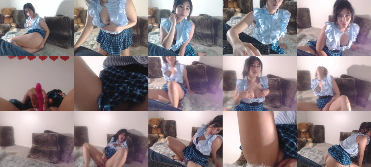 Pie_asian-MFC-201704070652_m.jpg