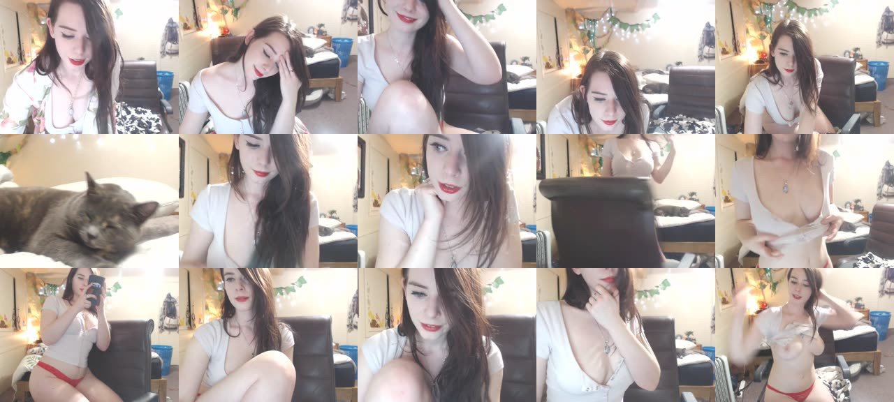 Forest_nymph-MFC-201708030357_m.jpg