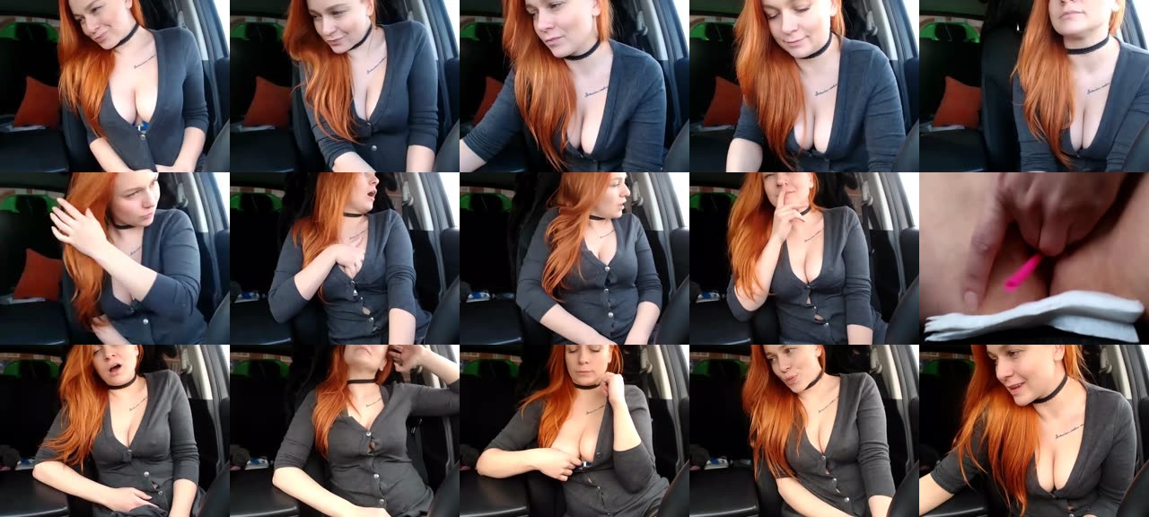 SquirrelViki-MFC-201811130605_m.jpg