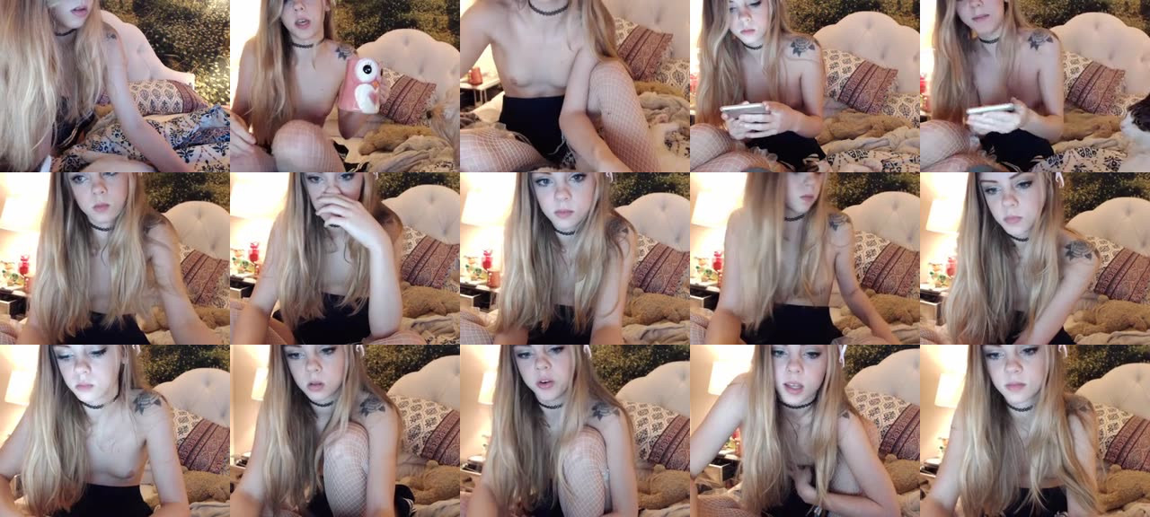 Kitten_xx-MFC-201602050827_m.jpg