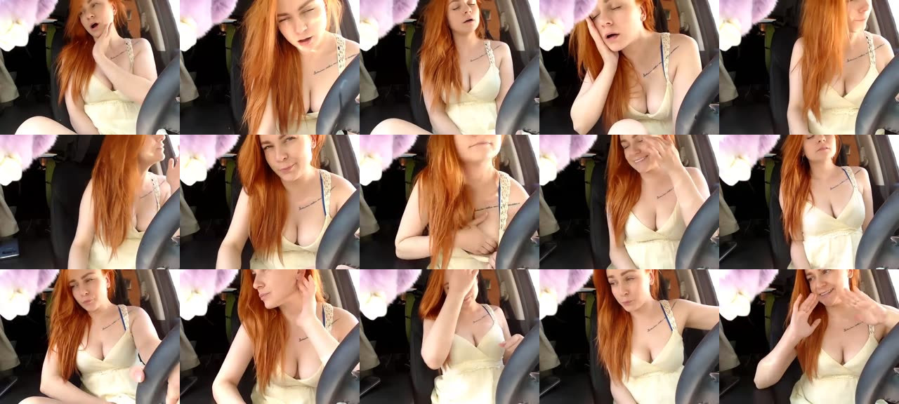 SquirrelViki-MFC-201806170725_m.jpg