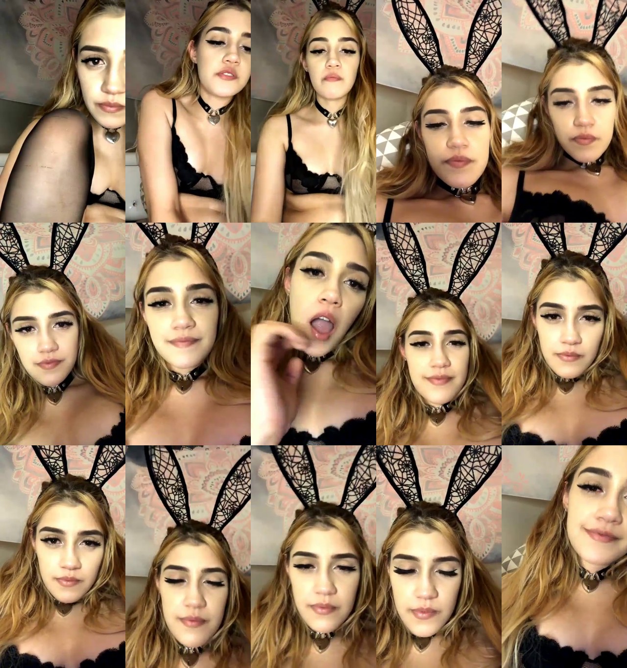 Alliecat001-MFC-202010140817_m.jpg