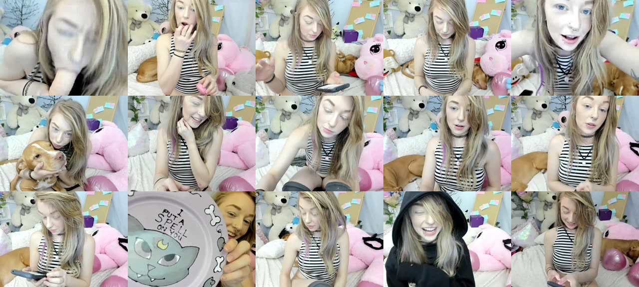 KiTTY_K0TA-MFC-201804090017_m.jpg