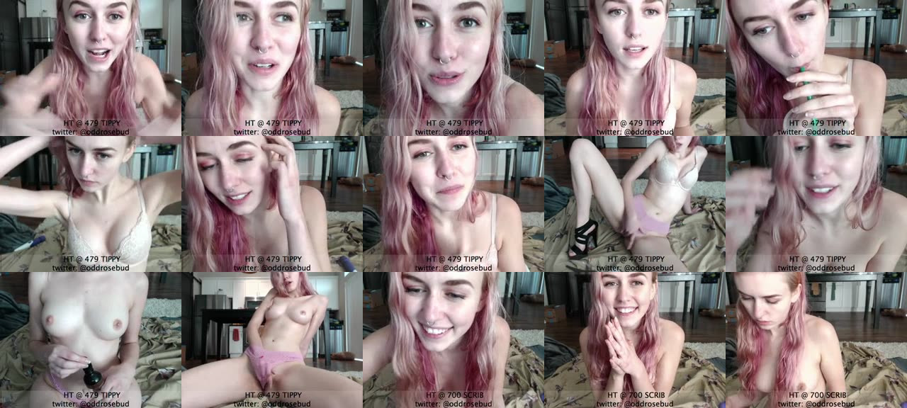 OddRosebud-MFC-201701141422_m.jpg