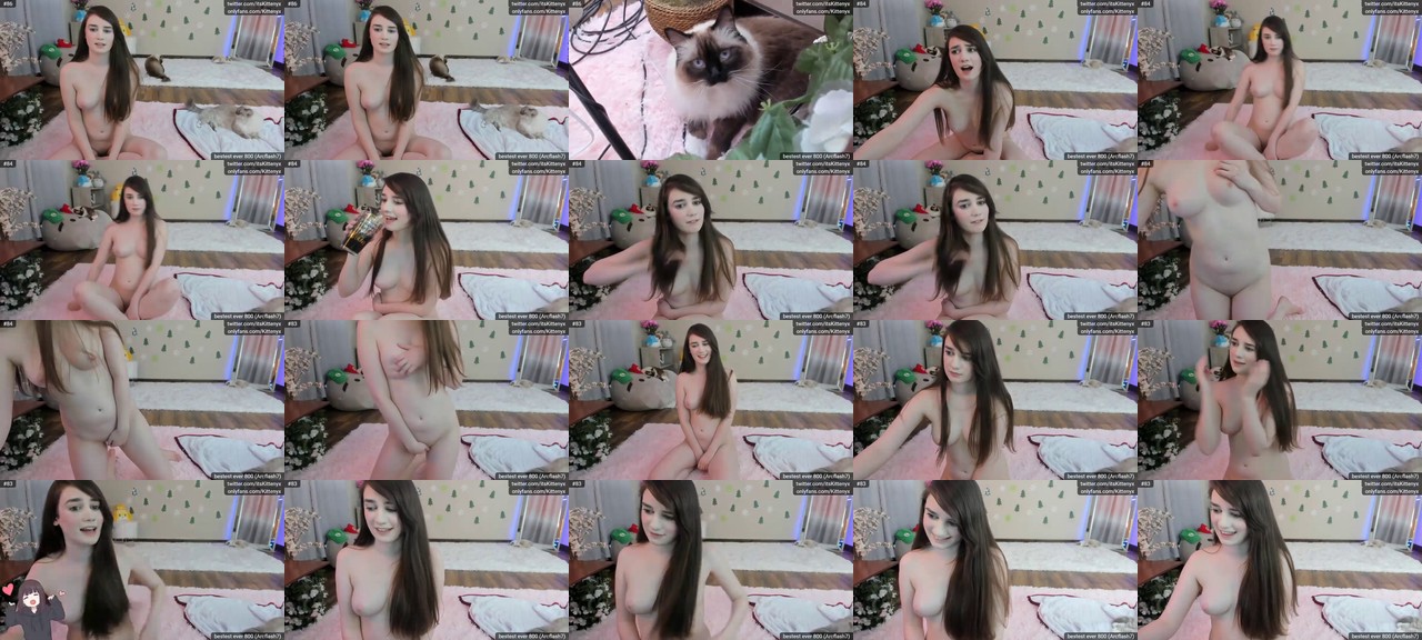 Kitty-MFC-202012130437_m.jpg