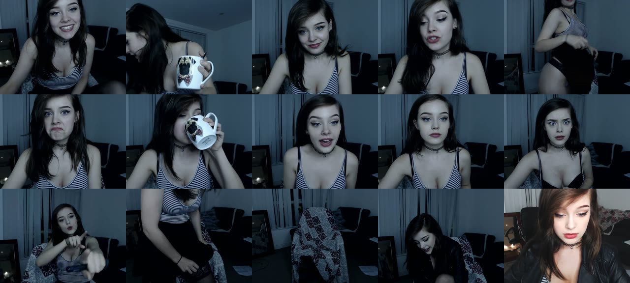 kitty_cashew1-MFC-201708162022_m.jpg