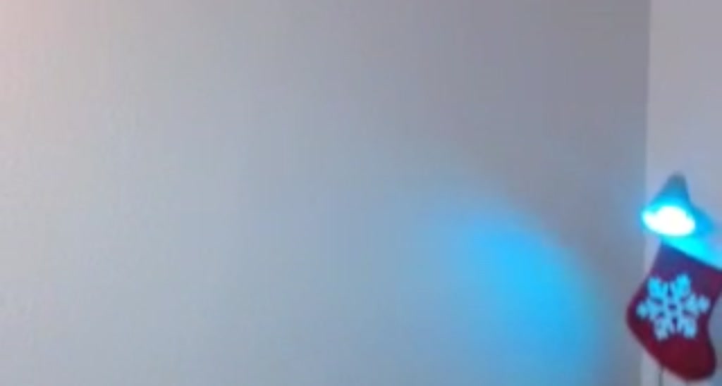ExoticLilyXO video thumbnail