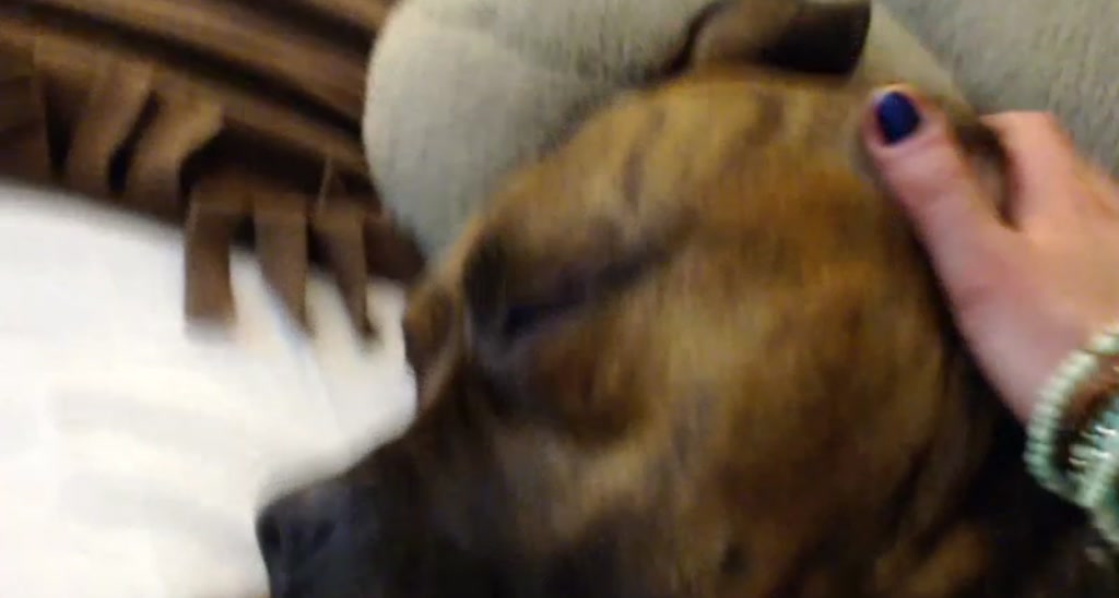 DaisyDestin video thumbnail