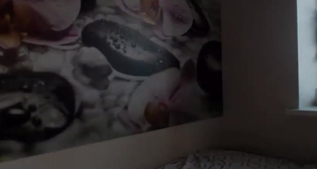 HoneyIAmHome video thumbnail