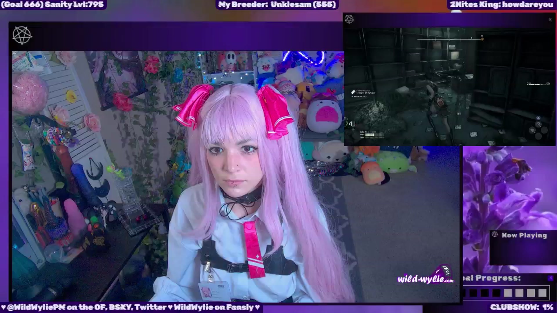 WildWyliePM video thumbnail