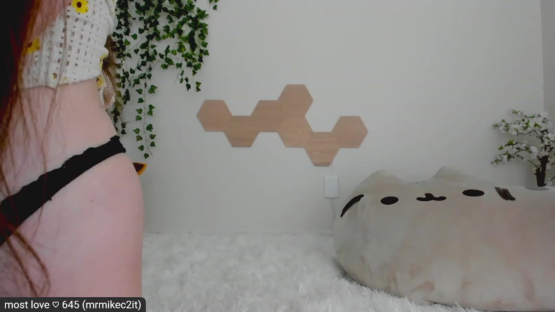 Kitty video thumbnail