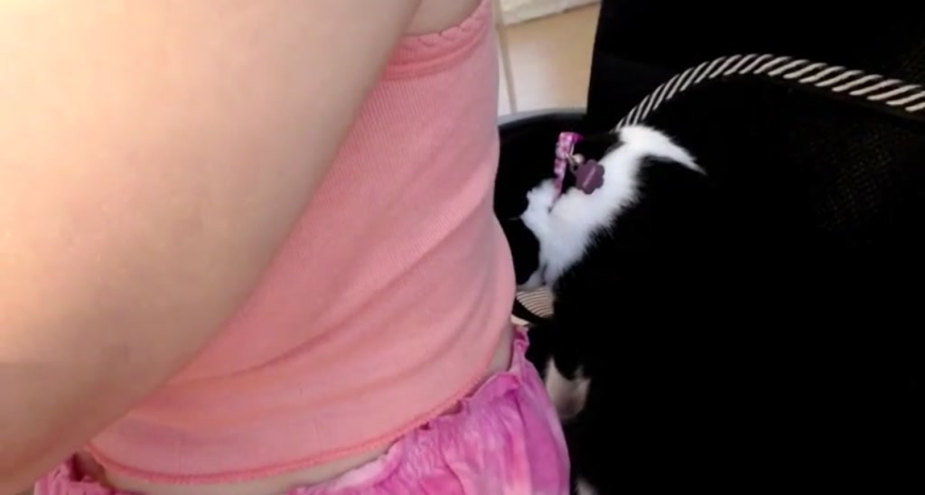 BuniBuni video thumbnail