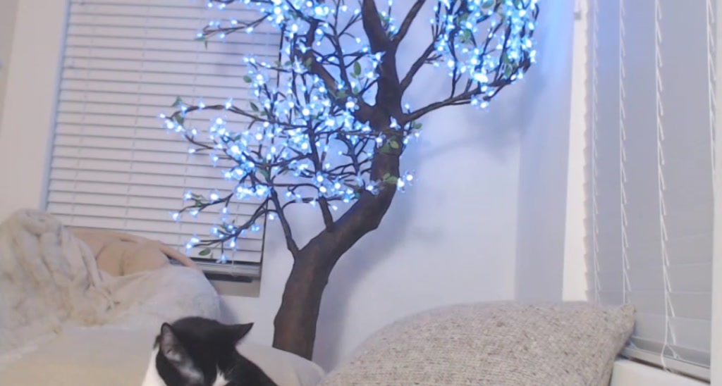 Stormy video thumbnail