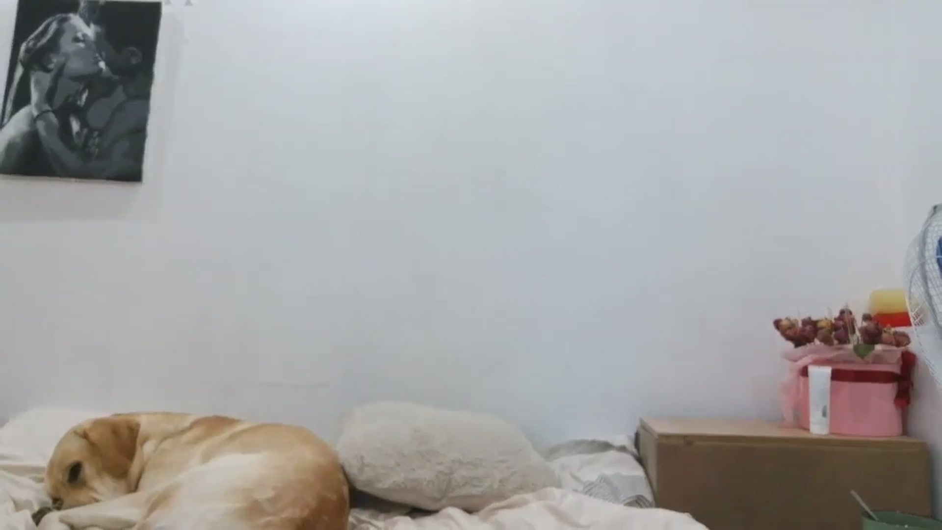 HaleyReed video thumbnail