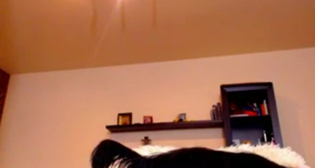 Leyla_Li video thumbnail