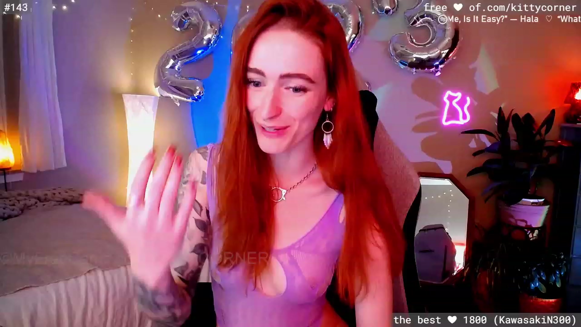 KittyCorner video thumbnail