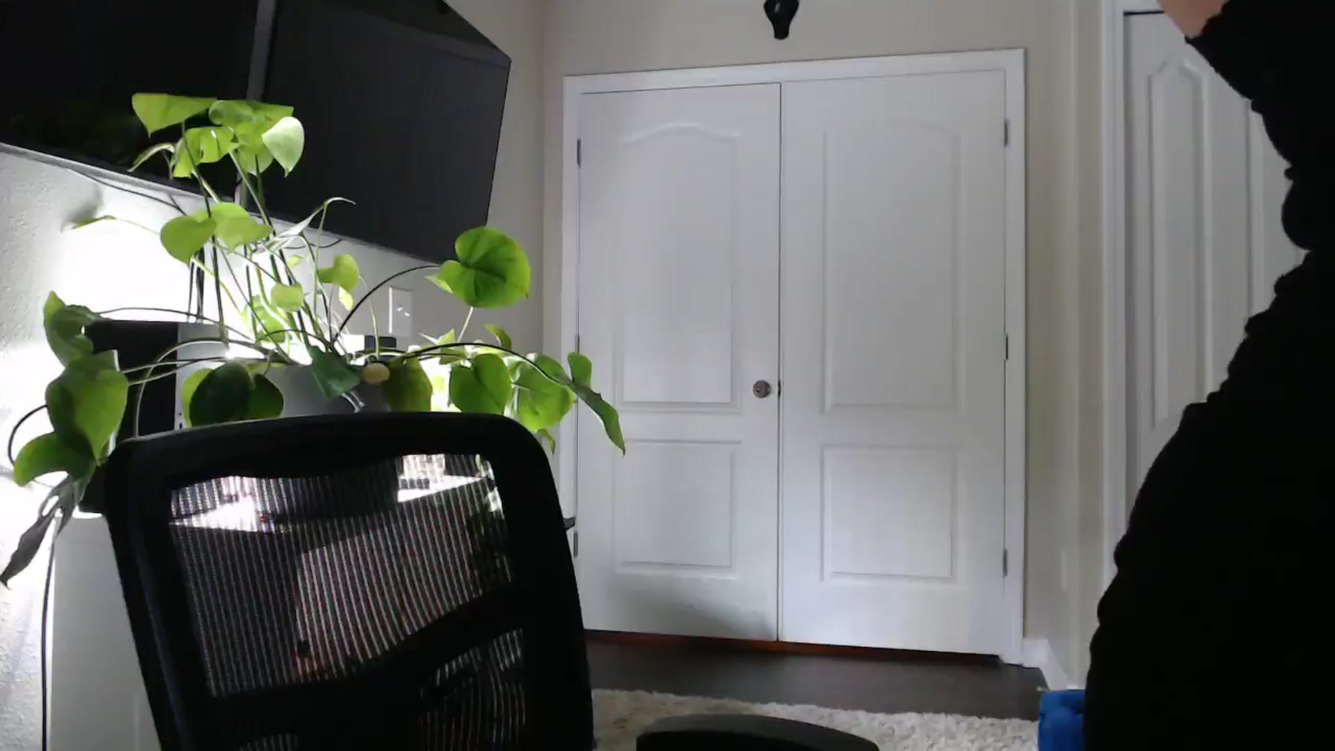 Sarah_Stark video thumbnail