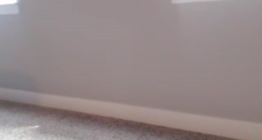 Scarlett_Vera video thumbnail