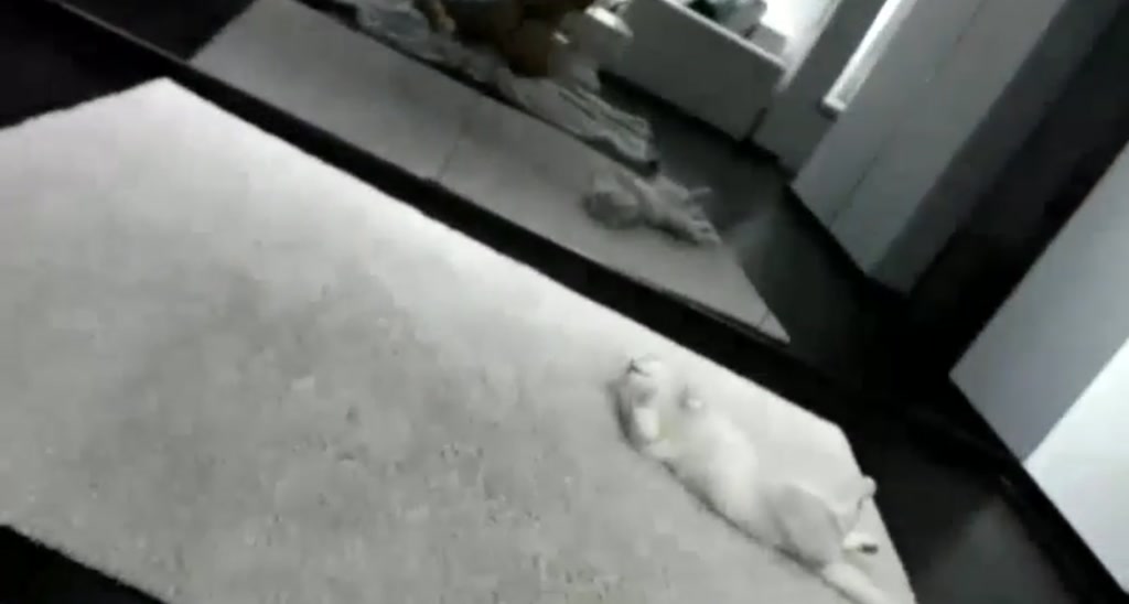 SweetestMary video thumbnail
