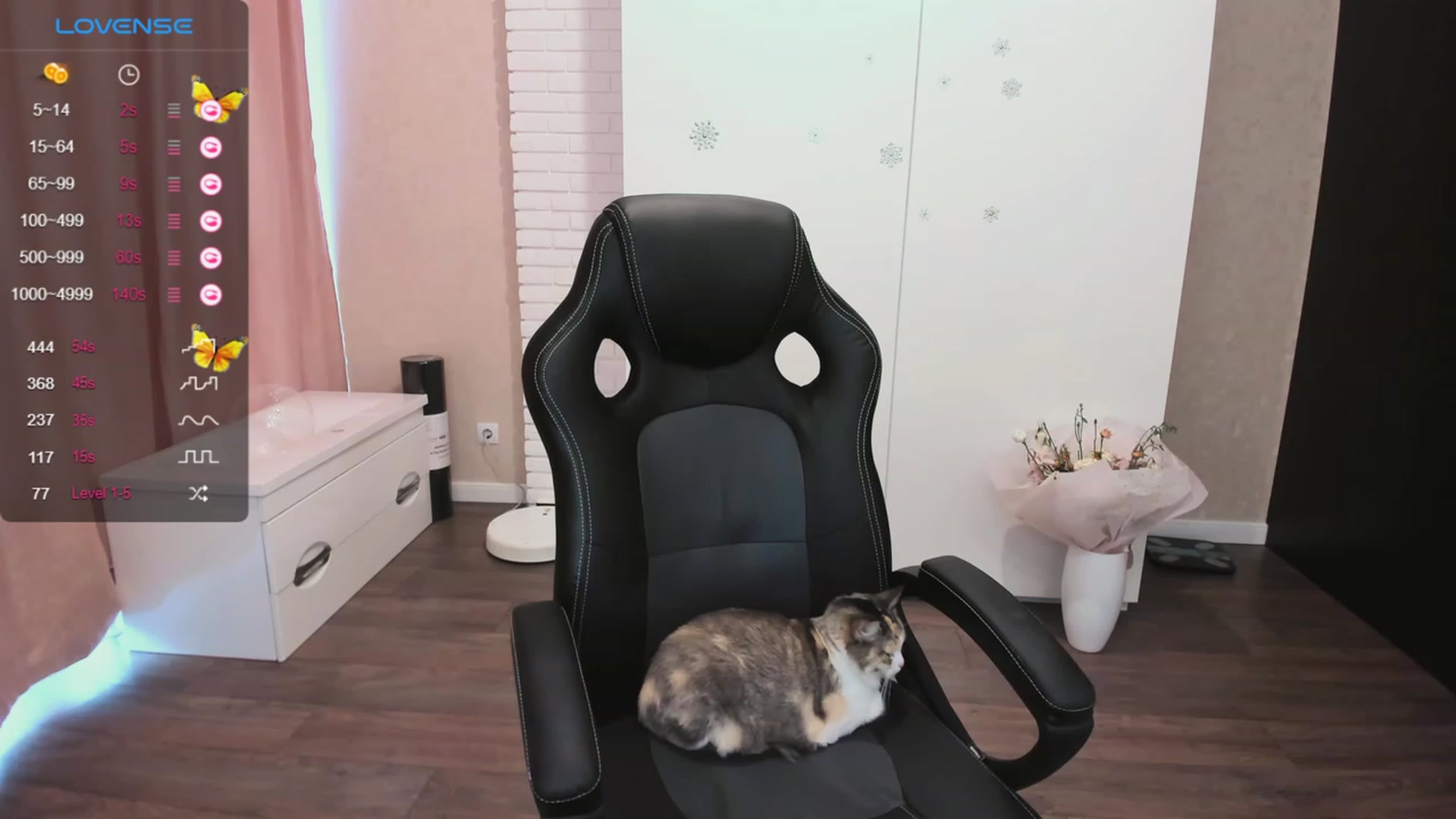HollyMollyy video thumbnail