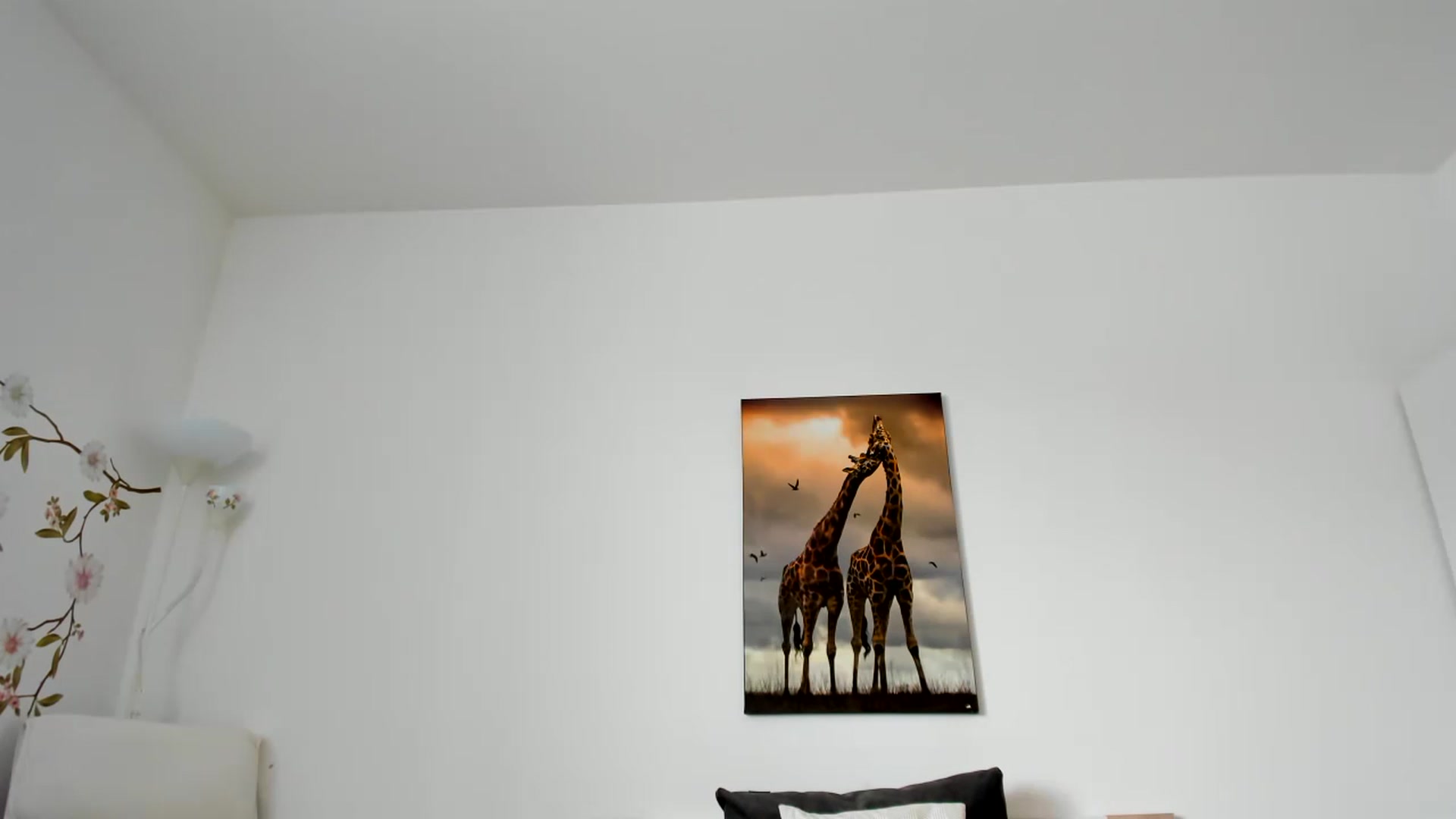 Saandruskaa video thumbnail