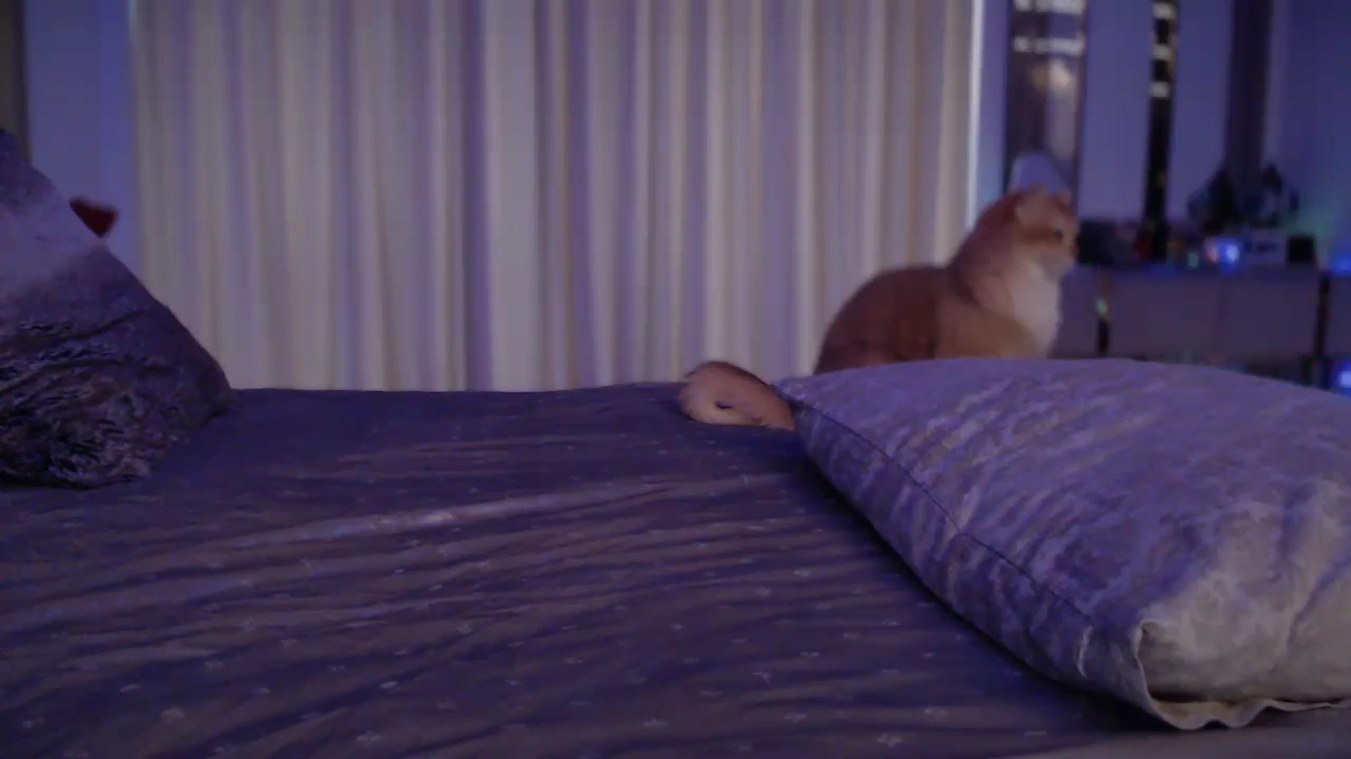 UGLYGIRL_ video thumbnail
