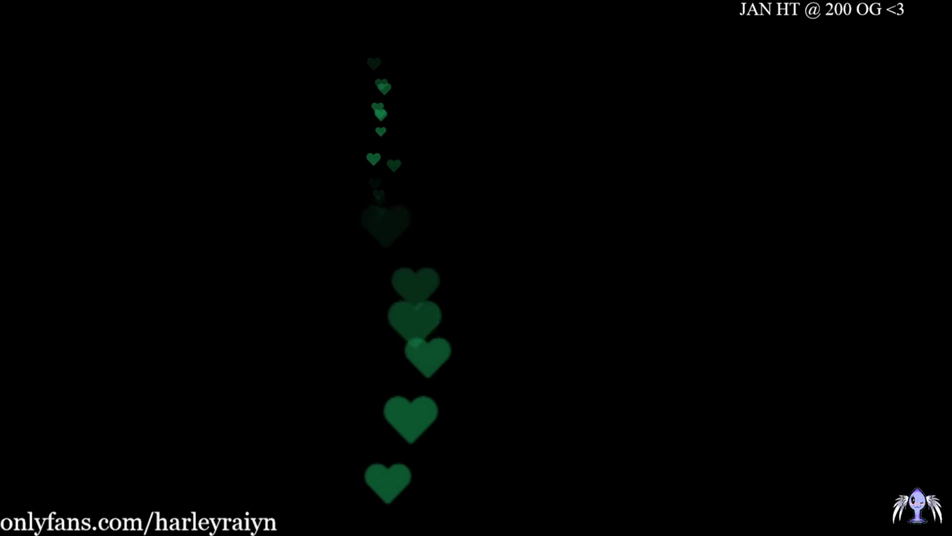 harley_raiyn video thumbnail