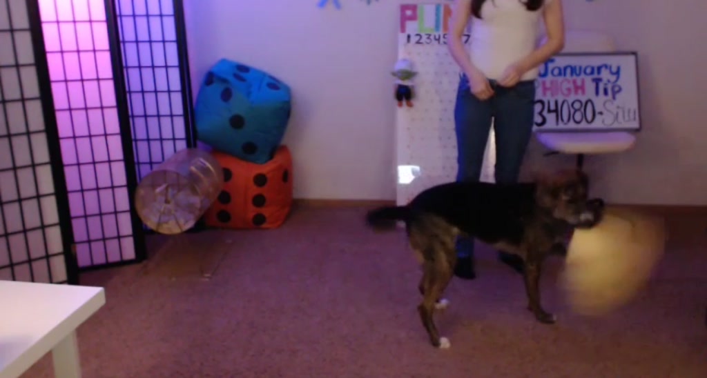 LetitSnophie video thumbnail