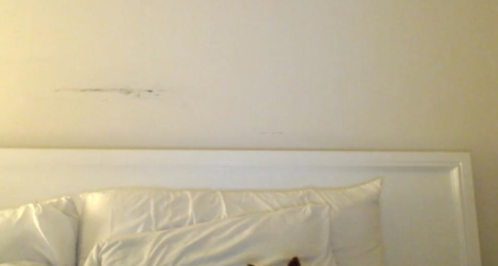 DaniSendNudes video thumbnail