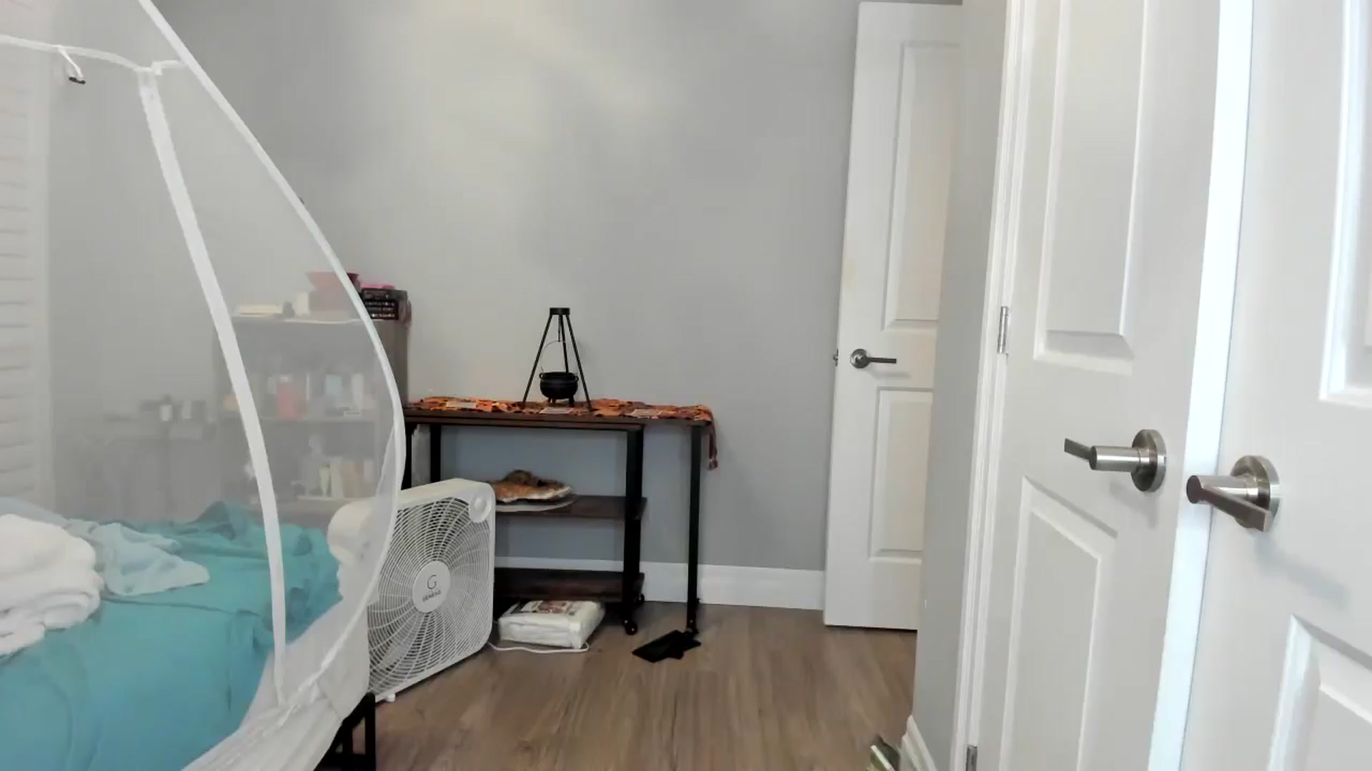 Laurel video thumbnail