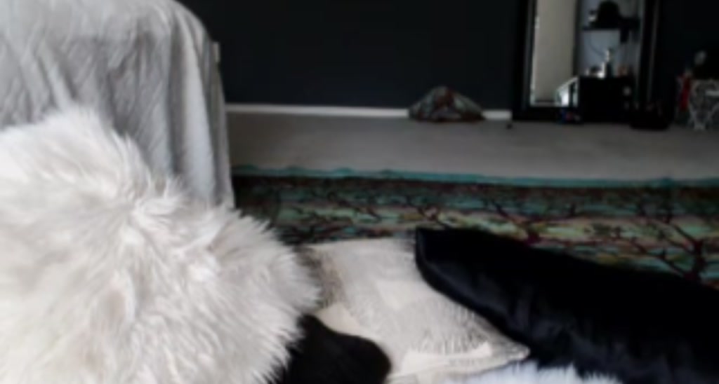 Evee__ video thumbnail