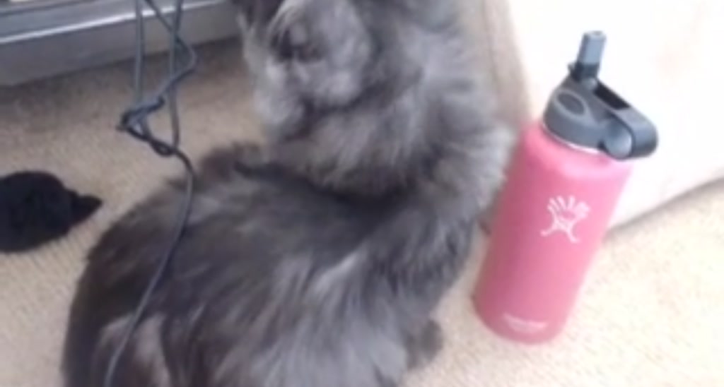 Katie video thumbnail