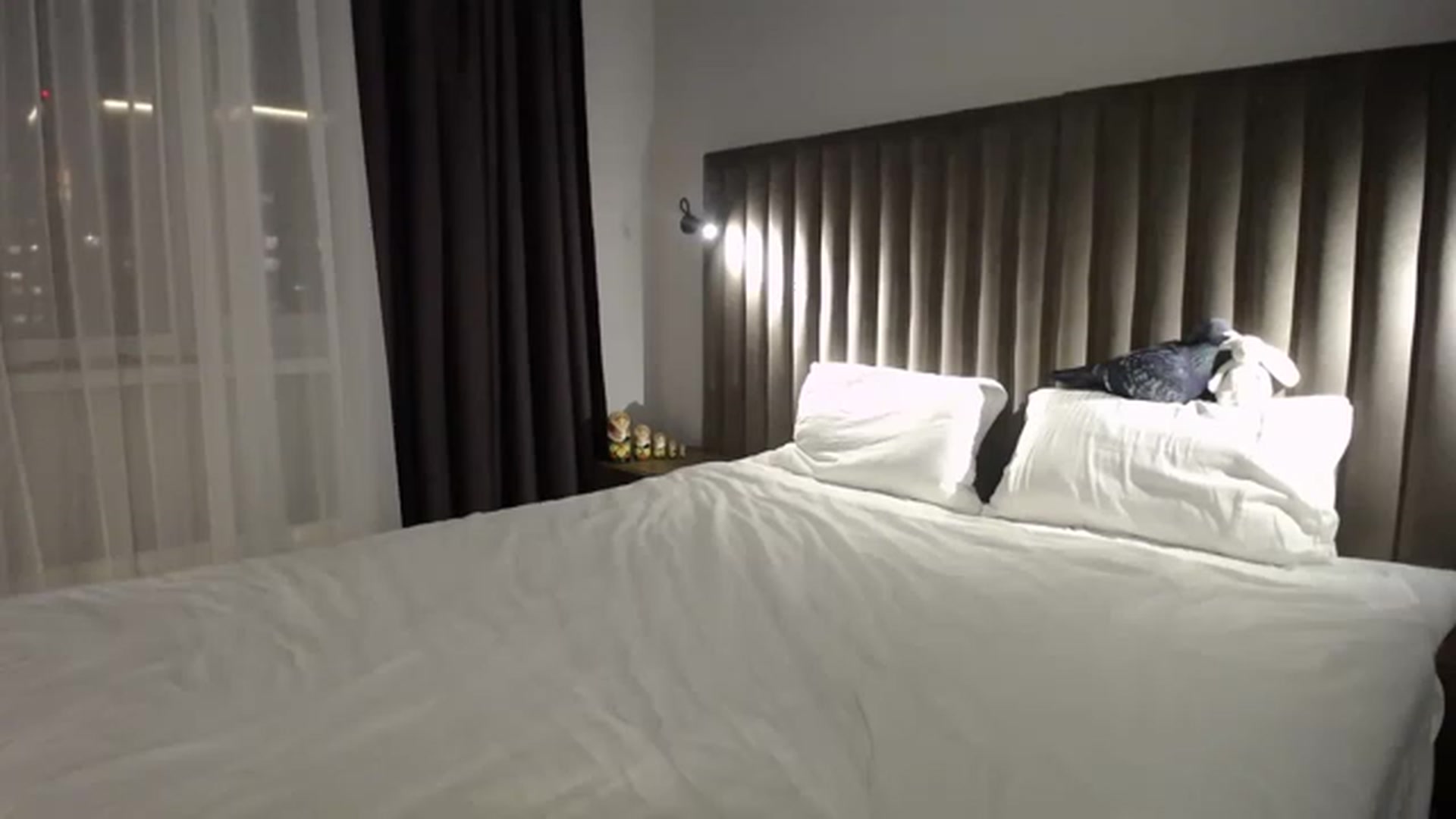HoneypotSpy video thumbnail