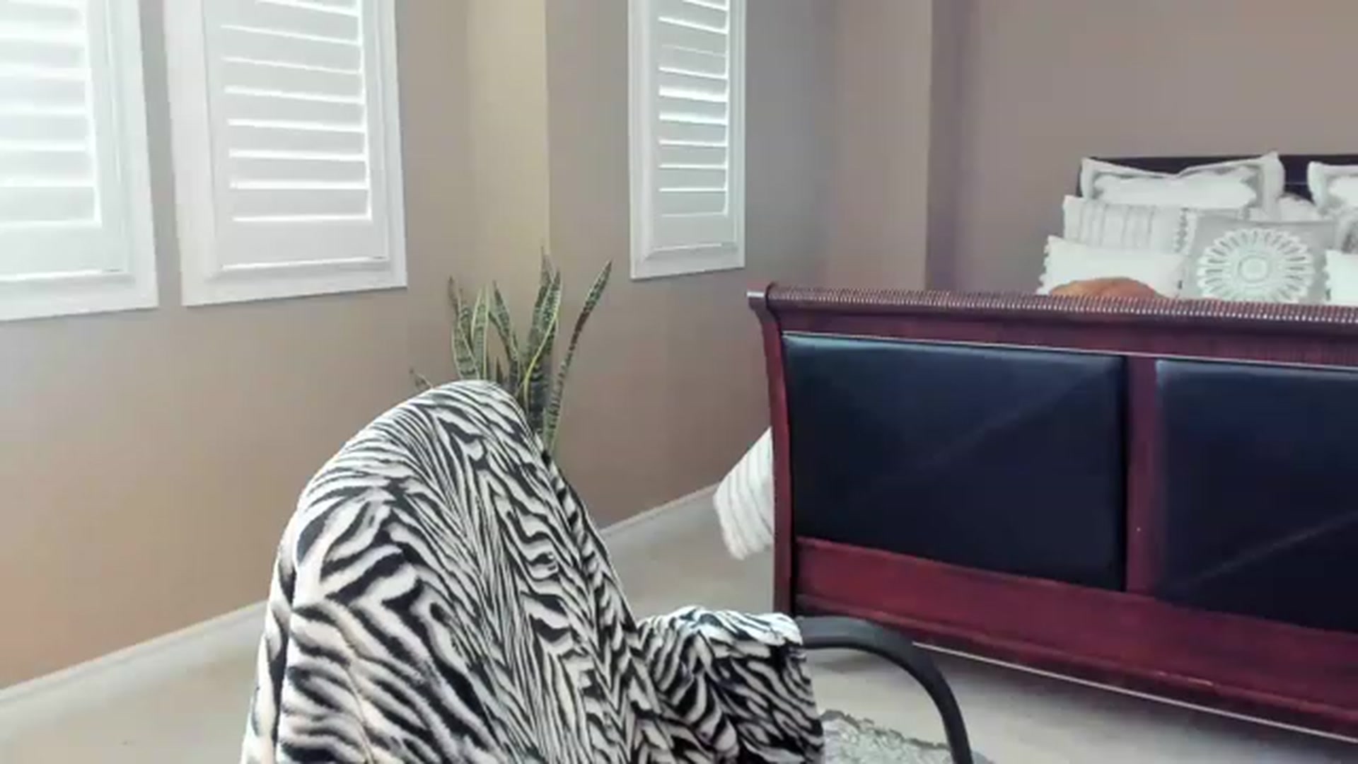 Ms_WetNWild video thumbnail