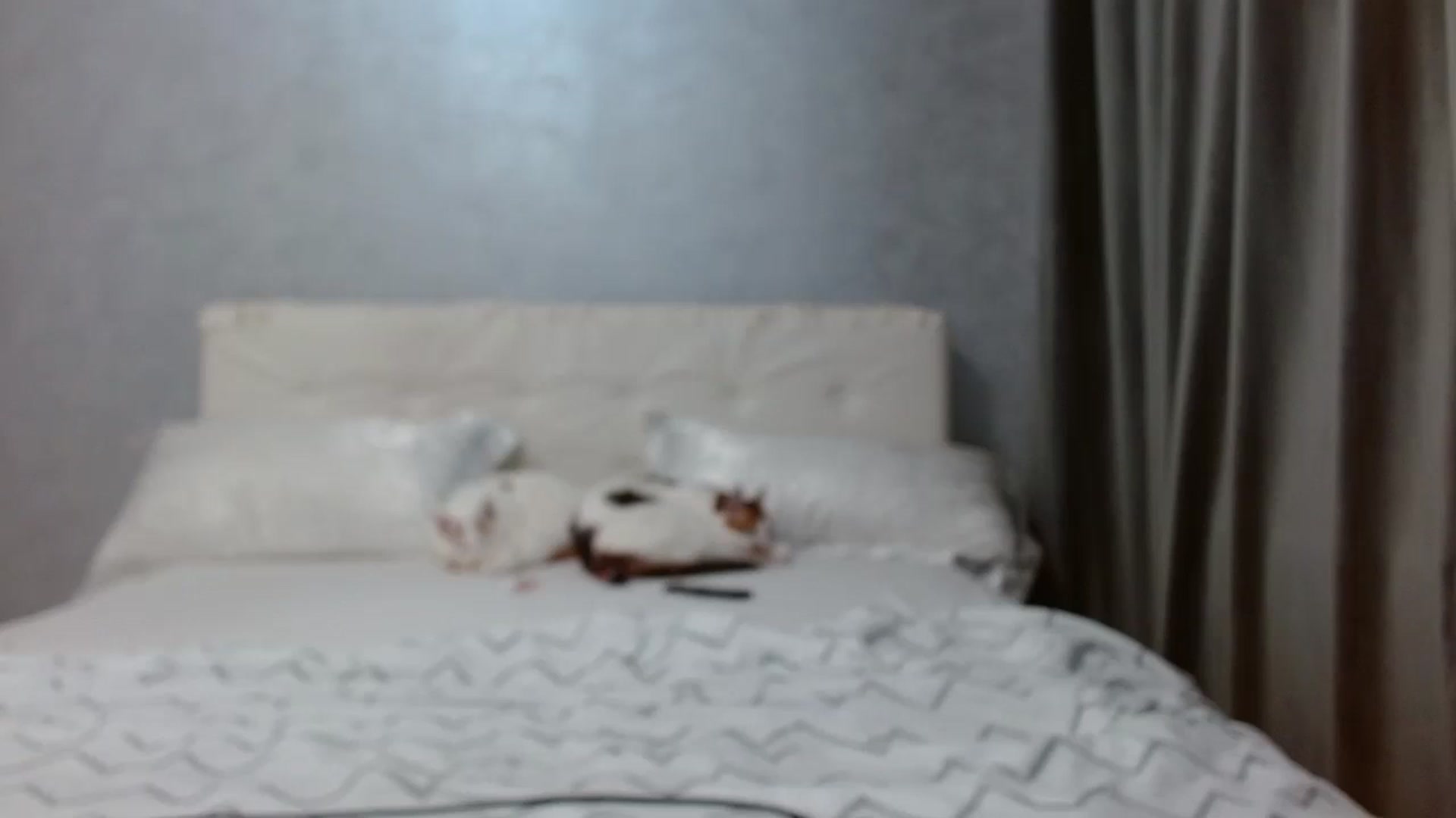 Aahh_Emilia video thumbnail
