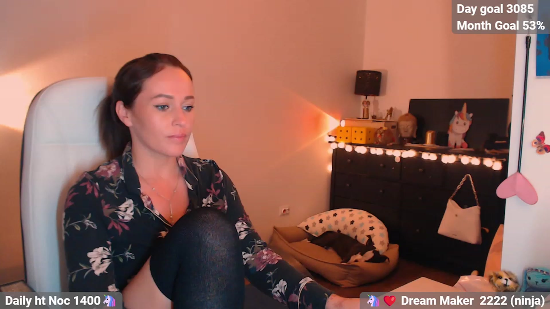 Meta_Kitten video thumbnail