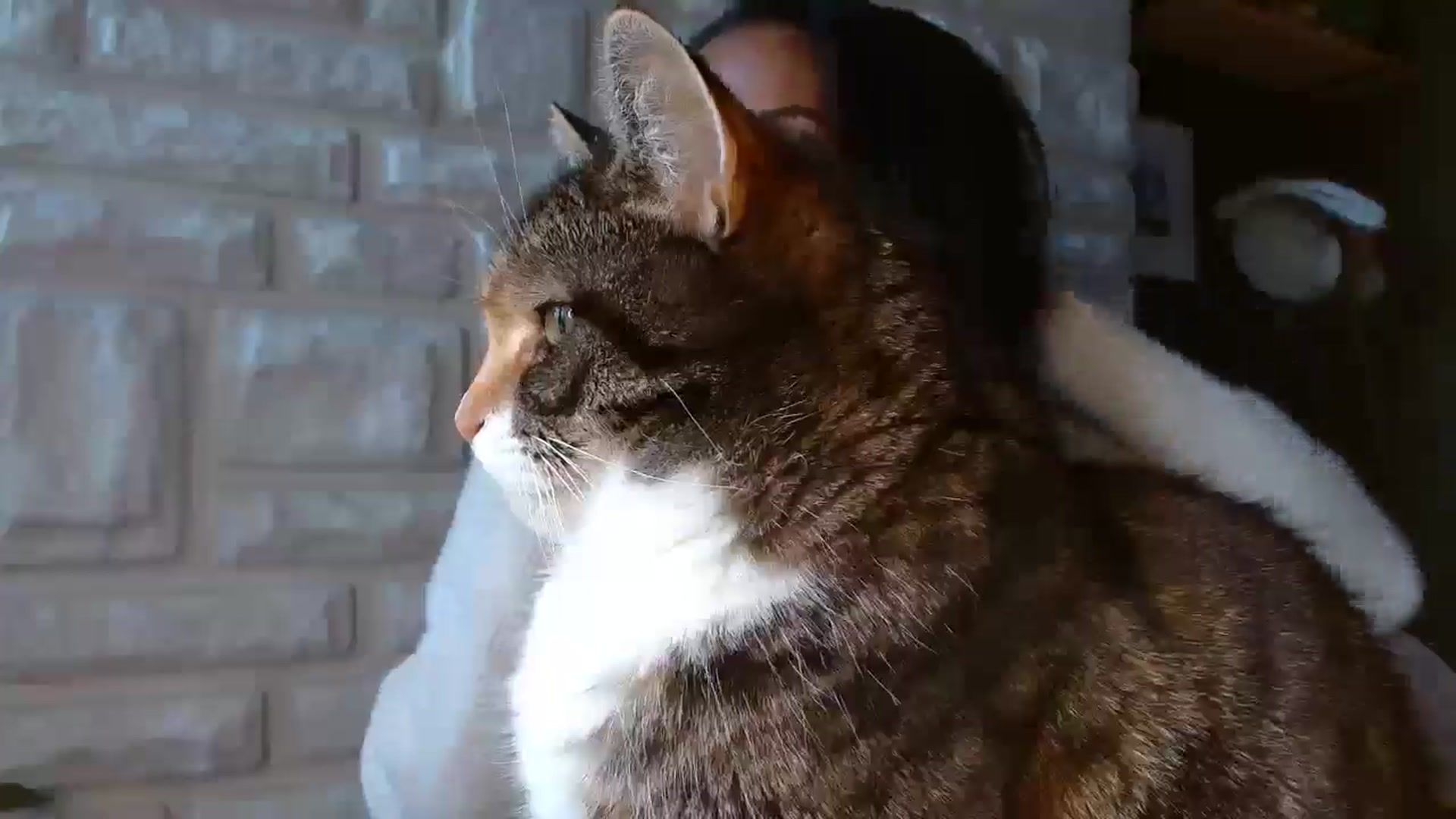 BabeXX69XX video thumbnail