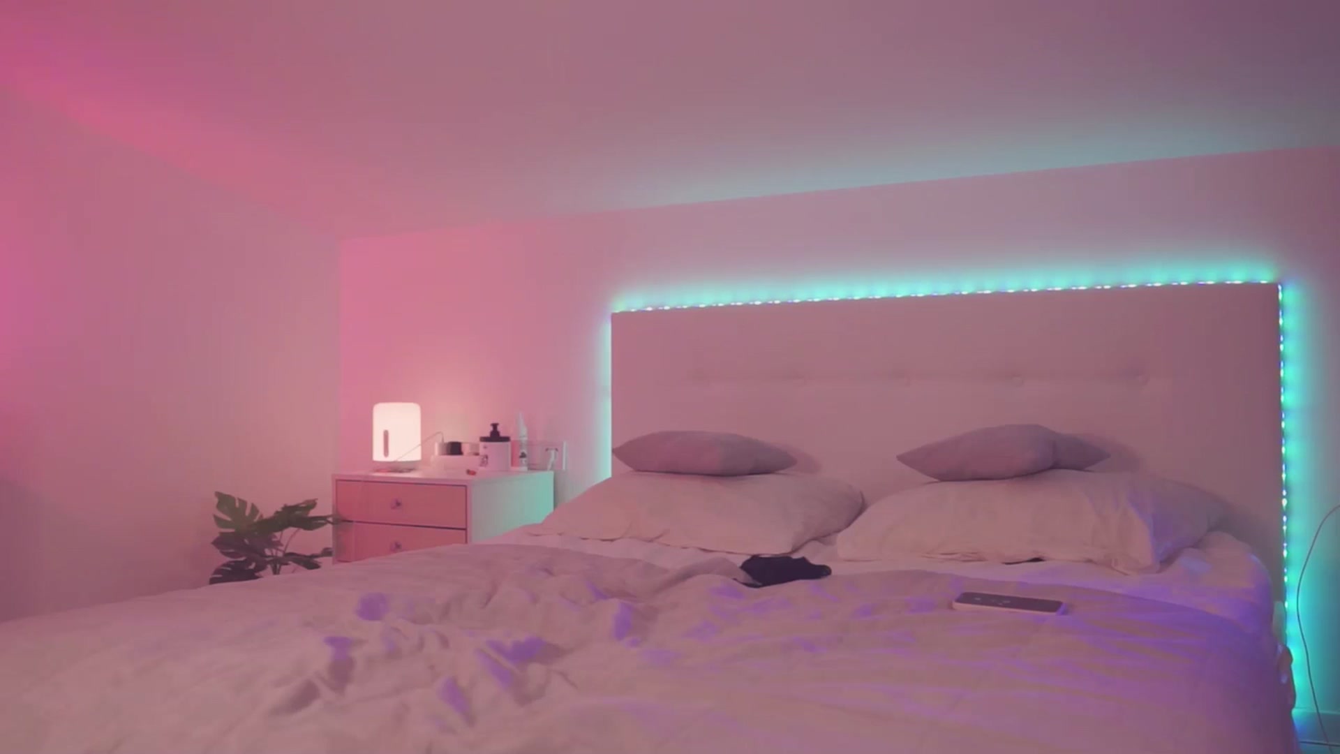Sarah_Pink video thumbnail