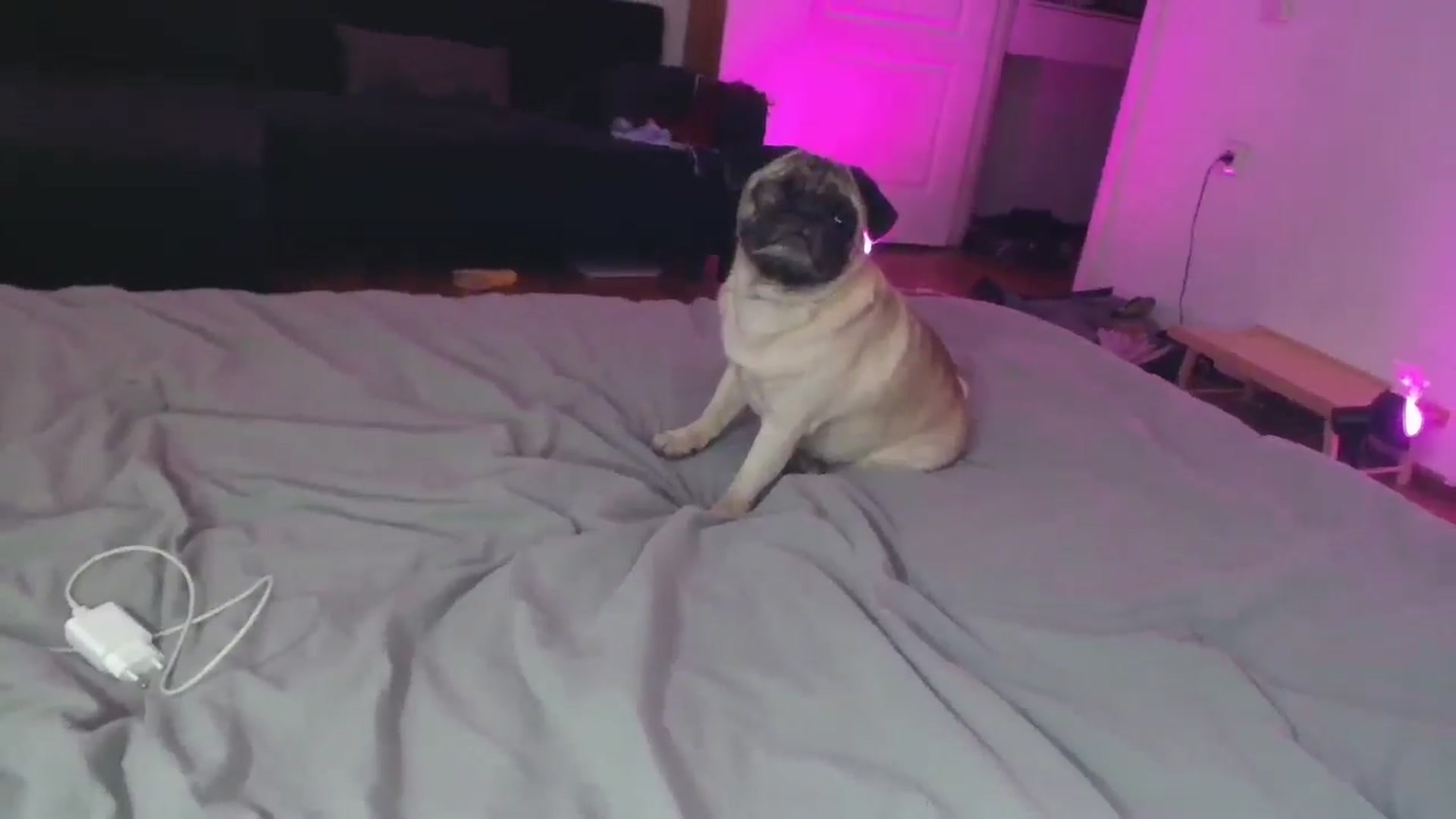 FunnyMinni video thumbnail