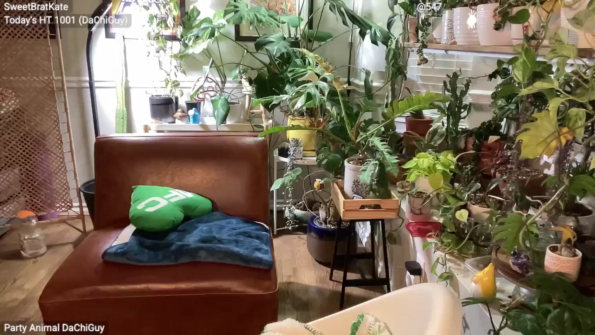 SweetbratKate video thumbnail