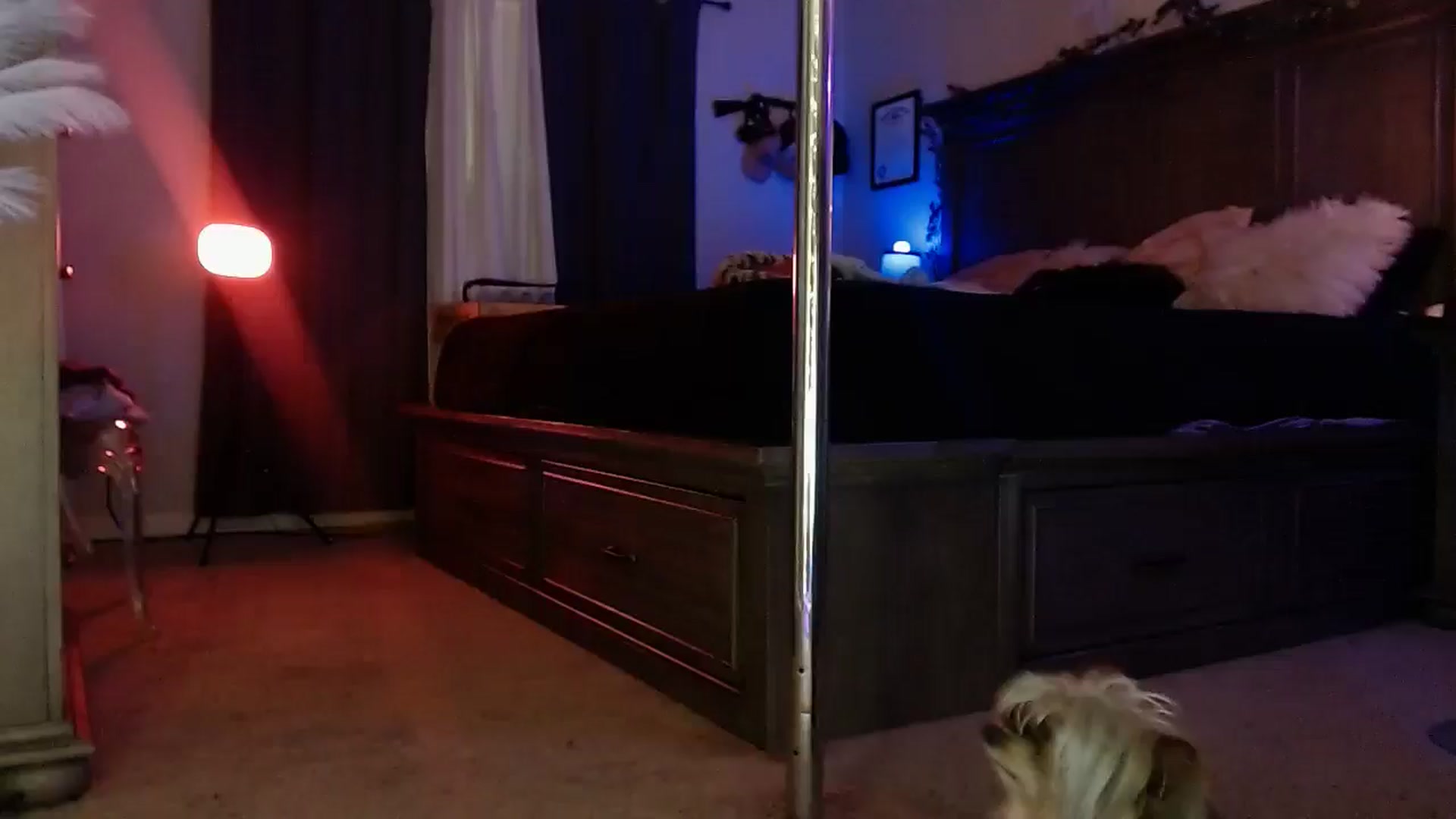 Marilyn_XO video thumbnail