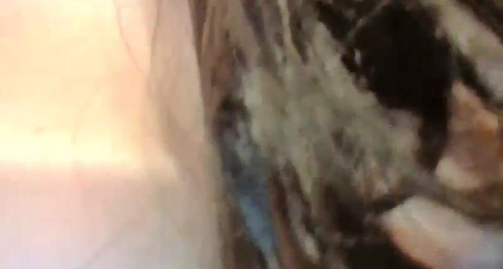 Vee_VonSweets video thumbnail