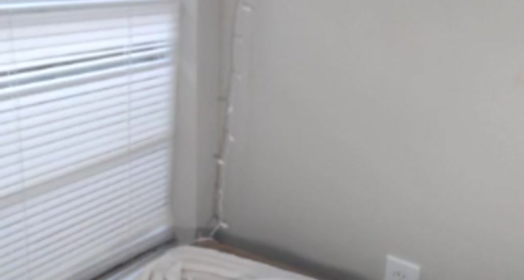 Daphnedanger video thumbnail