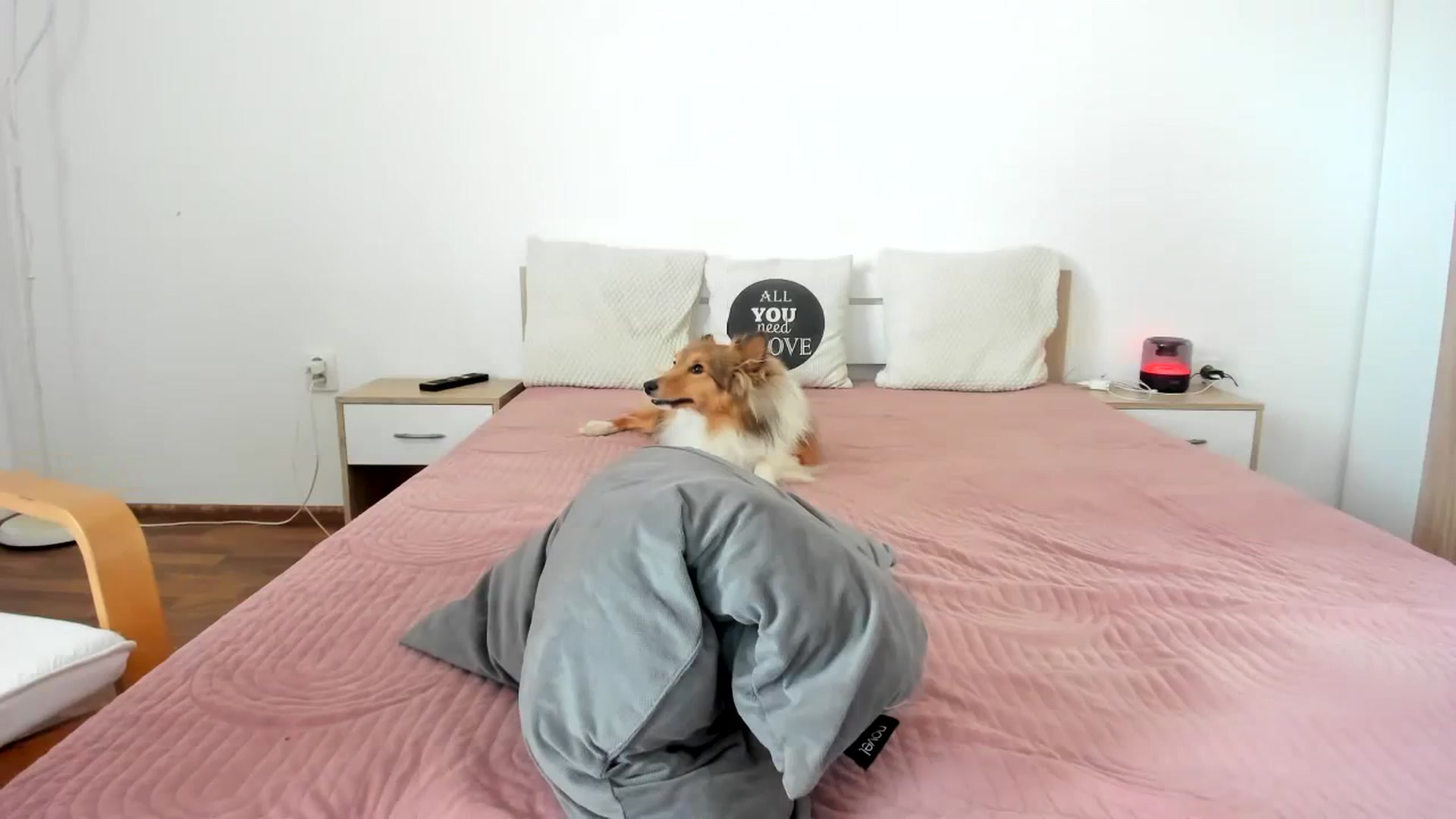 Saandruskaa video thumbnail
