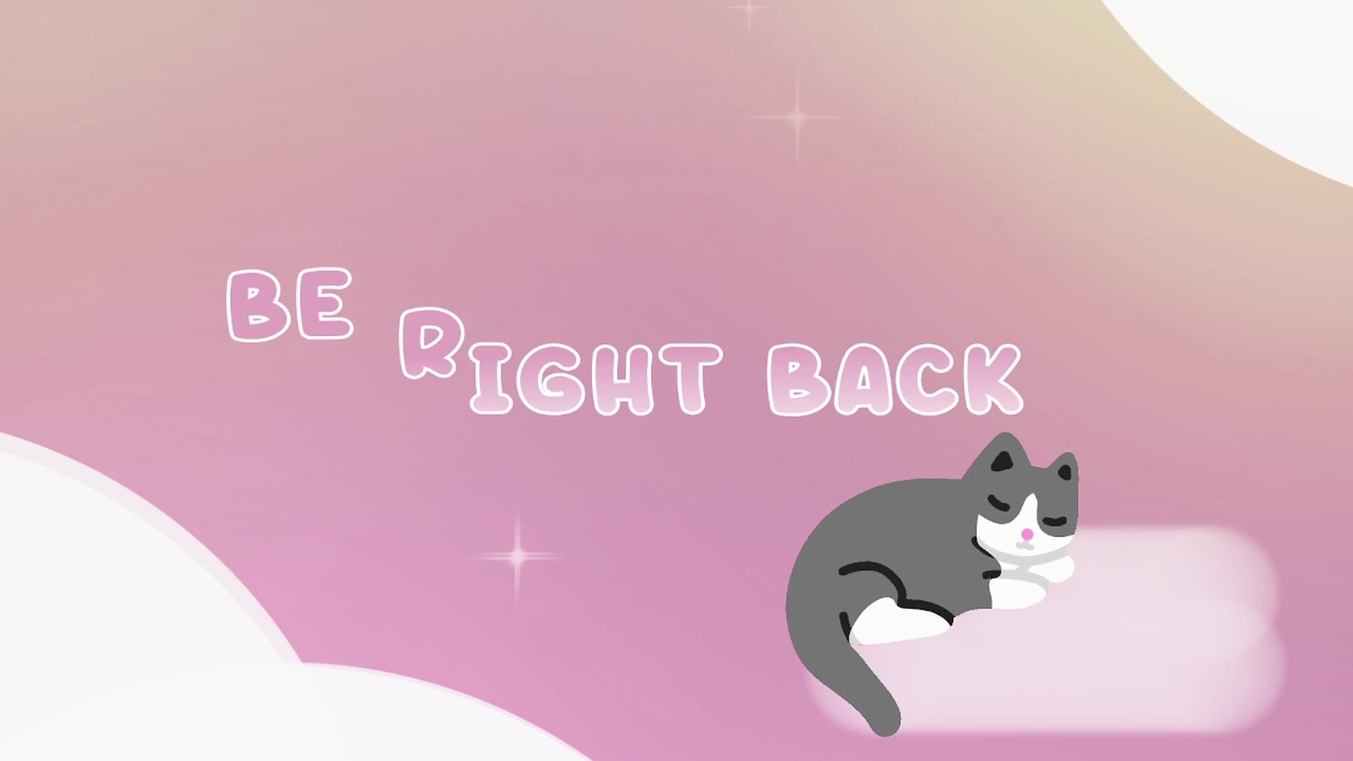 Kitty video thumbnail