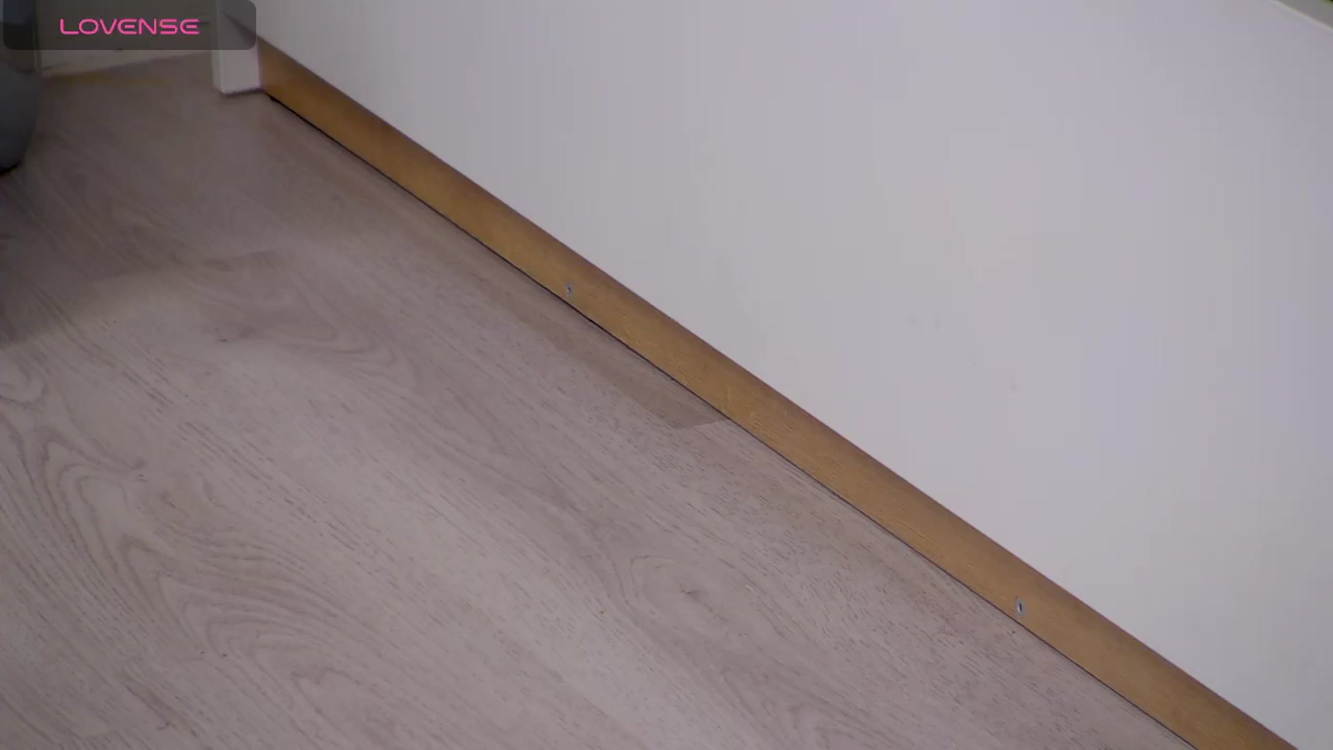 Squirrel_MFC video thumbnail