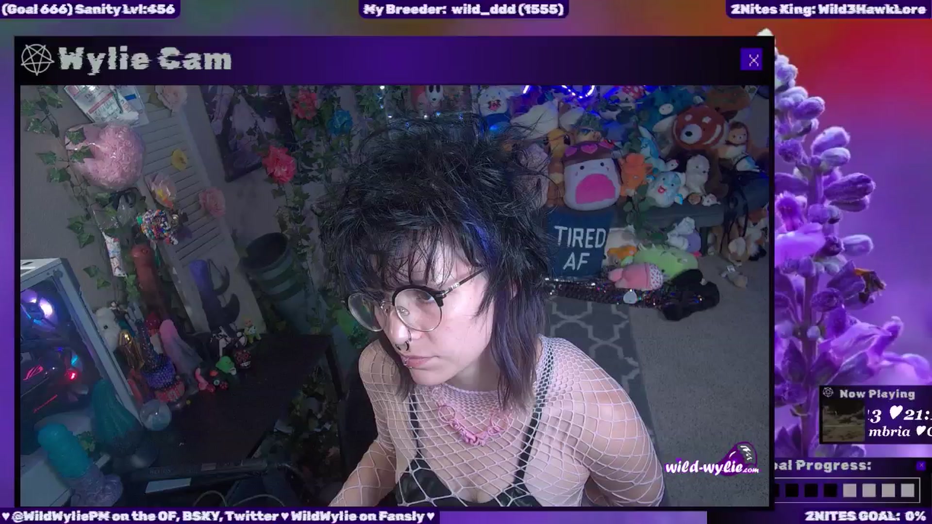 WildWyliePM video thumbnail