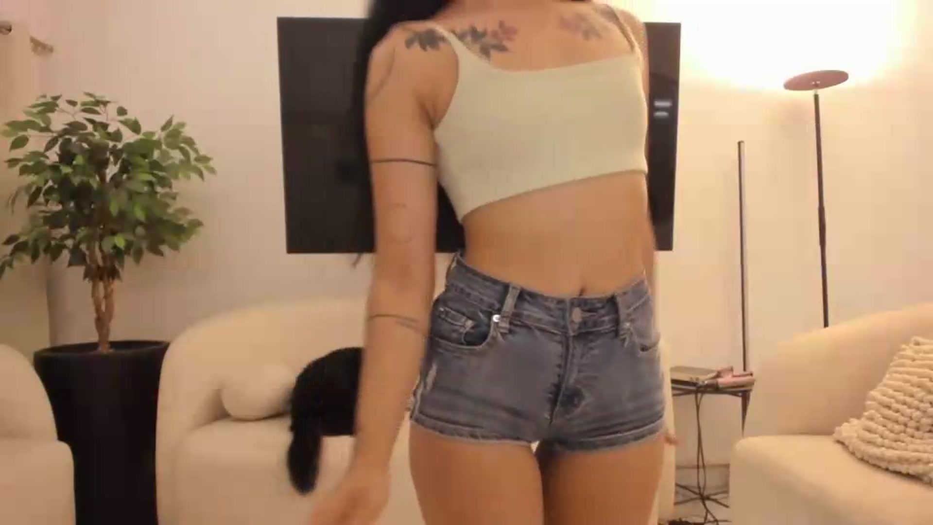 Kattgalle video thumbnail