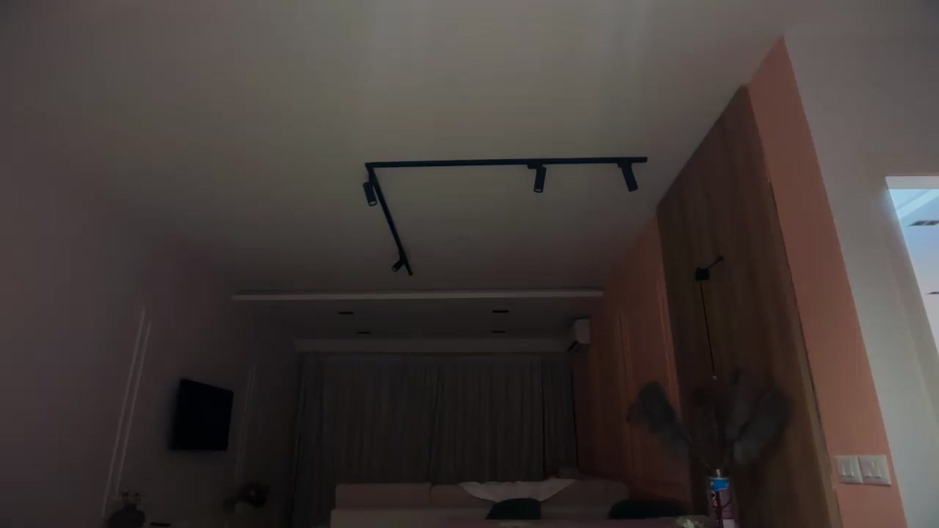 SkySunFlower video thumbnail
